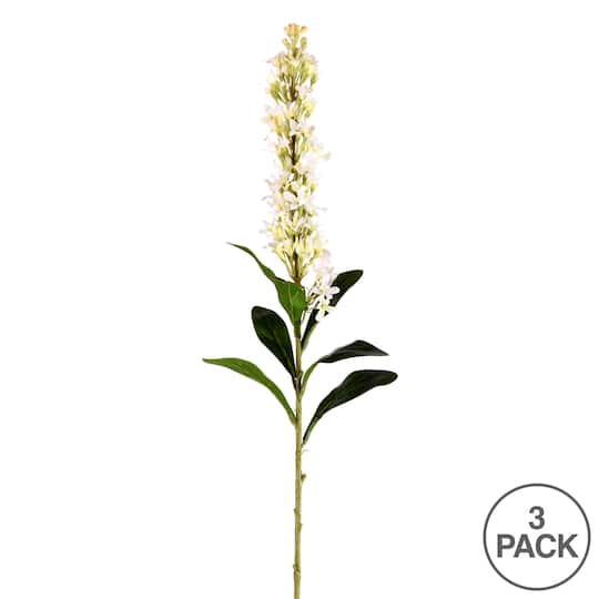 Hyacinth Stem